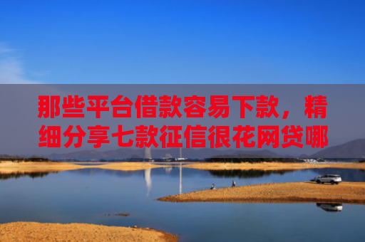 那些平台借款容易下款，精细分享七款征信很花网贷哪个好下款