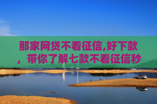 那家网贷不看征信,好下款，带你了解七款不看征信秒下款的网贷6