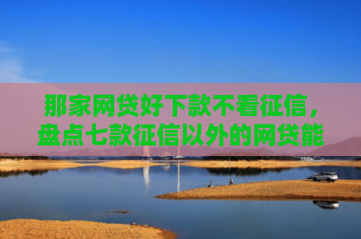 那家网贷好下款不看征信，盘点七款征信以外的网贷能下款吗