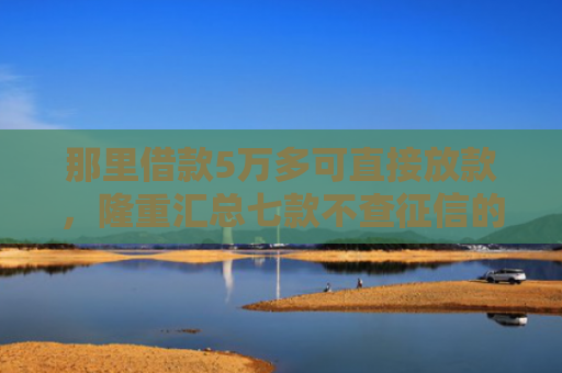那里借款5万多可直接放款，隆重汇总七款不查征信的网贷也不下款