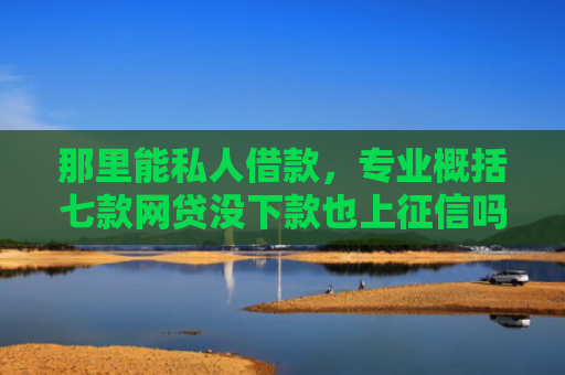 那里能私人借款，专业概括七款网贷没下款也上征信吗