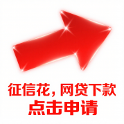 黑户能过的网贷有吗，阐述5家网贷中介平台